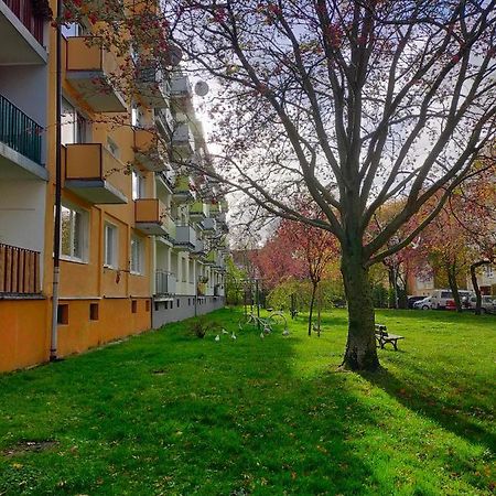 Апартаменты Muszelka Колобжег Экстерьер фото