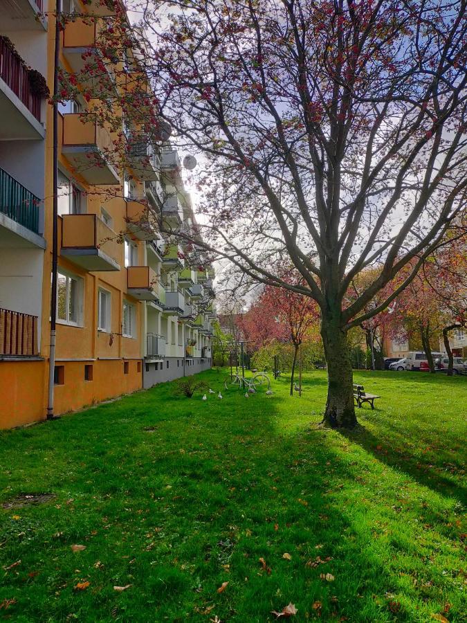 Апартаменты Muszelka Колобжег Экстерьер фото